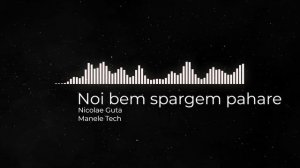 Nicolae Guta - Noi bem spargem pahare ( Manele Tech )