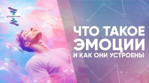 Что такое эмоции и как они устроены