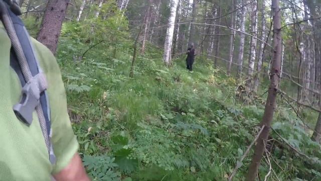 Поход Красноярск-Железногорск с Пашей. Часть 6. Атамановский хребет.