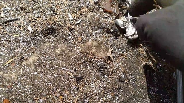 ПОИСК МЕДИ! Нахожу латунь, свинец, монеты, акционные крышки, алюминиевые банки и металлолом. смотреть онлайн