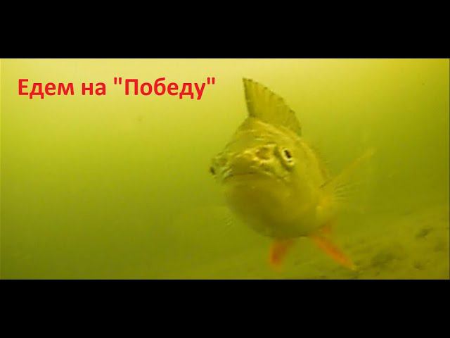 "Едем на победу" 05.12.2022 пруд "Победа", село "Лозовое"