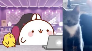 Cute Cartoon React To Cute Animals on TikTok | Cuteness Overload 🥺