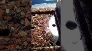 Искусственный гранит своими руками. Мыльница.