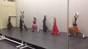 Фламенко дети