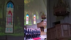 Скрипка Хироко Нинагава Япония