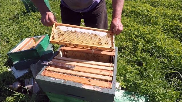 Майский мёд, он сладкий самый смотреть онлайн