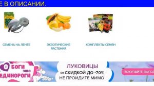 Кабачки Кустовые Ранние