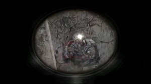 S.T.A.L.K.E.R. Зона Поражения: Новая Эра #6. Зомби Паразит и Лаборатория под Мертвым Городом