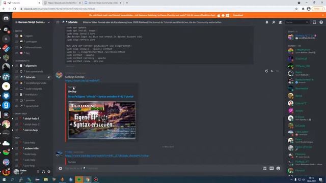 Der beste Discord für Skript [Vorstellung] смотреть онлайн