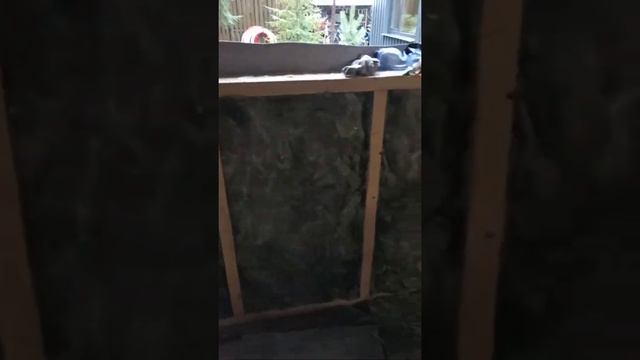 Утепление каркасного дома минеральным утеплителем