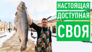 Как выращивают КАРЕЛЬСКУЮ ФОРЕЛЬ — от садка до стола ?