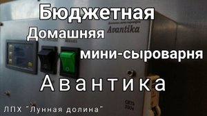 Бюджетная. Домашняя мини-сыроварня "Авантика"