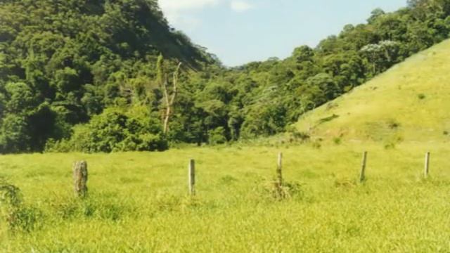 ONÇA PINTADA*****SUDMAR E MARTINÉLLI*****(Compositores-Ribas e Paulo Cruz) смотреть онлайн