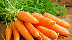Соль при выращивании моркови, морковь на даче, морковка на грядке, подкормка моркови