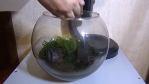 Дом для петушка Tetra Globe Duo Waterfall