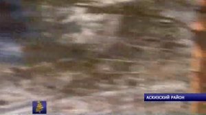 В Хакасии идёт охота на волков