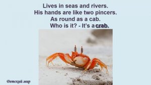 Animal riddles for children in English. Загадки о животных на английском детям