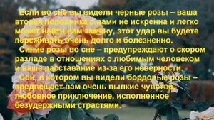 К чему снятся РОЗЫ? Толкование снов.