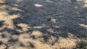 ОТЕЛЬ БАЙТАС В БОРОВОМ | BAITAS. ОБЗОР ЗАВТРАКА И УЖИНА