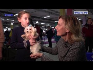 Специальный репортаж. Елка желаний-2021