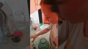 Как менять воду пиявкам