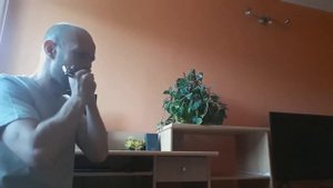 Little Walter - Just Your Fool (Solo) HARMONICA Seydel 1847 Silver (D)