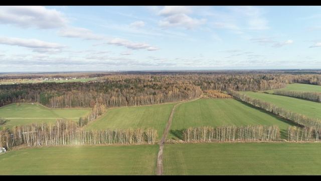 Комягино, Пушкинский район, поля Подмосковья. 2020 г смотреть онлайн