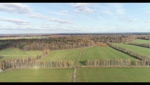 Комягино, Пушкинский район, поля Подмосковья. 2020 г