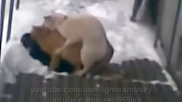 Это его район This is his area смотреть онлайн