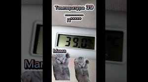 🏥Я попала в больницу??🏥💉ЧОООО?? Мама за мной ухаживает и поддерживает обнимает и целует😘🥰💋💋💋