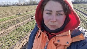 Работа на поле в Германии