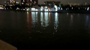 Сом в Москва реке