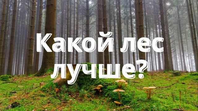 Как и где собирать грибы? Что делать с клещами? Как определить съедобный гриб простыми словами. смотреть онлайн