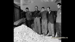 Ли Миллер Lee Miller Elizabeth Miller биография работы