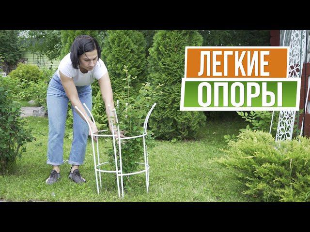 Опоры для кустов ☘ Формировка кустов ☘ Лёгкие новинки