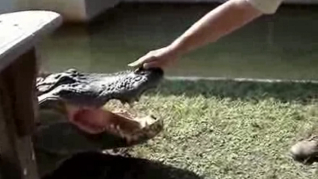 Очевидцы # 6