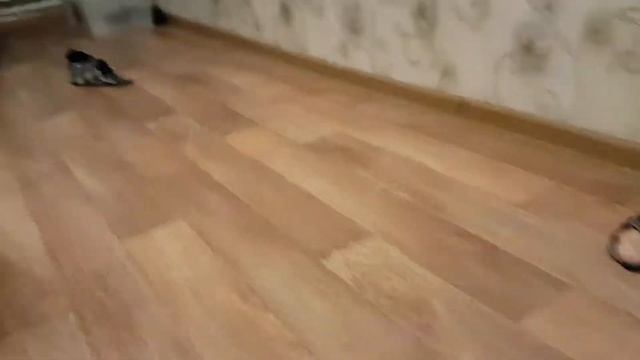 Правило. Тренировки(5) смотреть онлайн