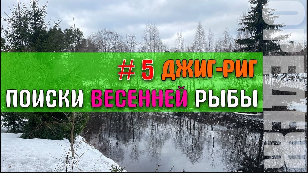 Джиг-риг _ поиски весенней рыбки _  Daiwa NINJA Z 602ULFS-ST 1-6гр. #стритфишинг #дропшот