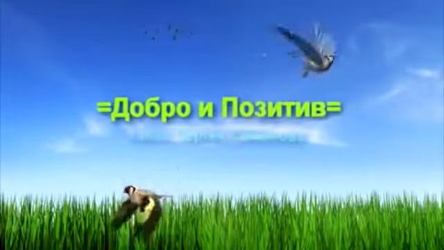 ДОБРО И ПОЗИТИВ | Сергей Симонов