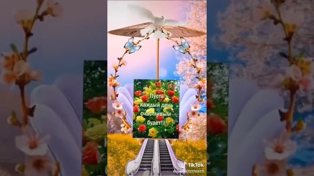 5 июня 2020 г. смотреть онлайн