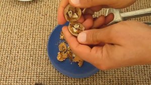 Какой лучше на вкус грецкий орех: большой или маленький