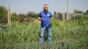 Почему стрелки на луке? О чем это говорит и как этого не допустить?