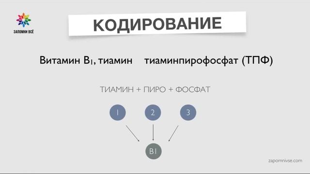 Как запоминать сложные названия? / Запоминание медицинских терминов