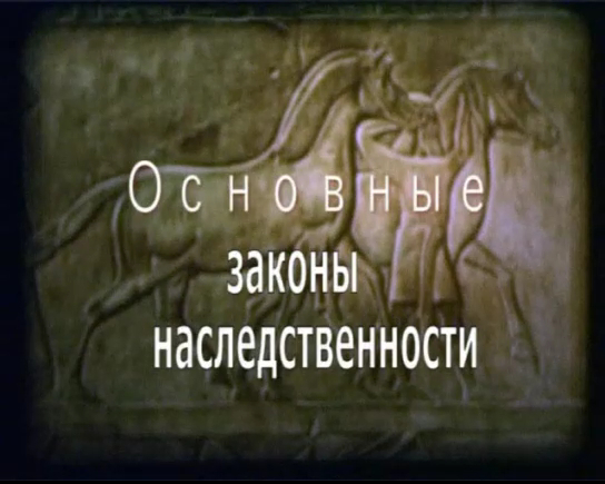 Основные законы наследственности