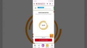 как купить пета на стар петс