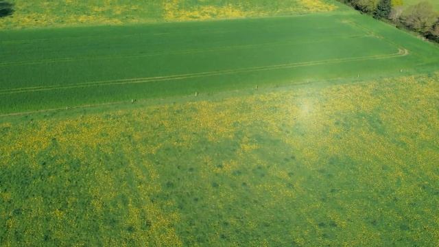 La nature locale à mis sa tenue printanière смотреть онлайн