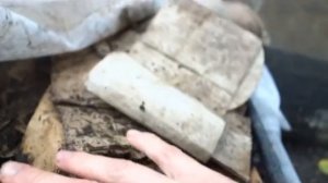 Продажа ЧЕРВЯ! Как подготавливать ЧЕРВЯ ДЛЯ ПРОДАЖИ! ИТОГ!