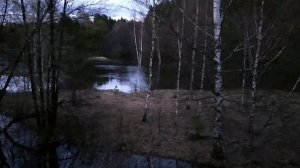 Вечернее пение птиц. Конец апреля. Разлив реки и деревенька.