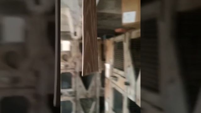 АГИТА лучшее средство от мух в помещении . смотреть онлайн