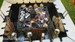 Вертикальный мангал - гриль. Эко мангал "Vulkan". Одновременно готовим и мясо и рыбу!